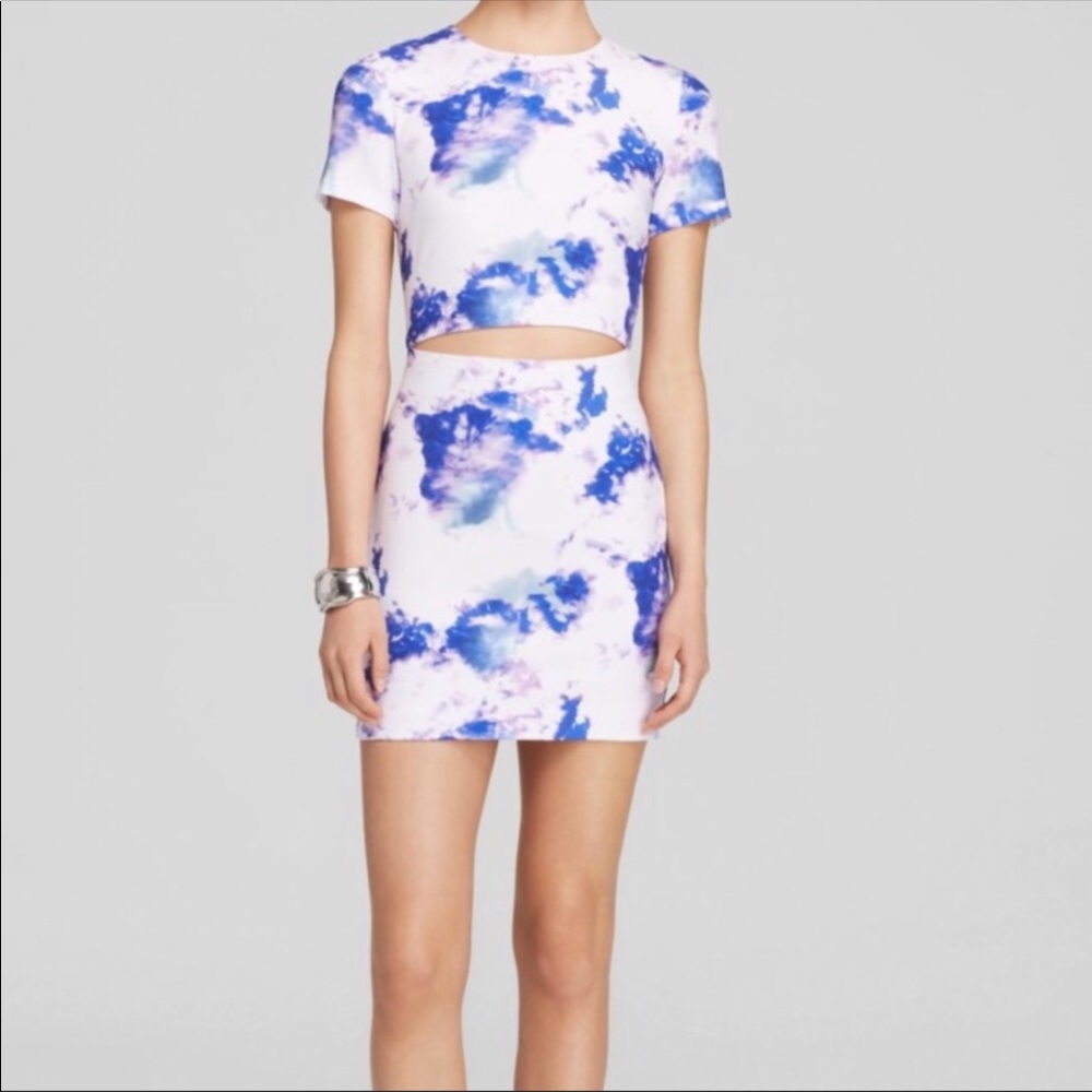 Bec & Bridge Saint Cloud Print Cut Out Mini Dress 6